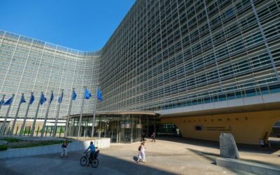 Decyzje UE ws zakazu 2035 roku